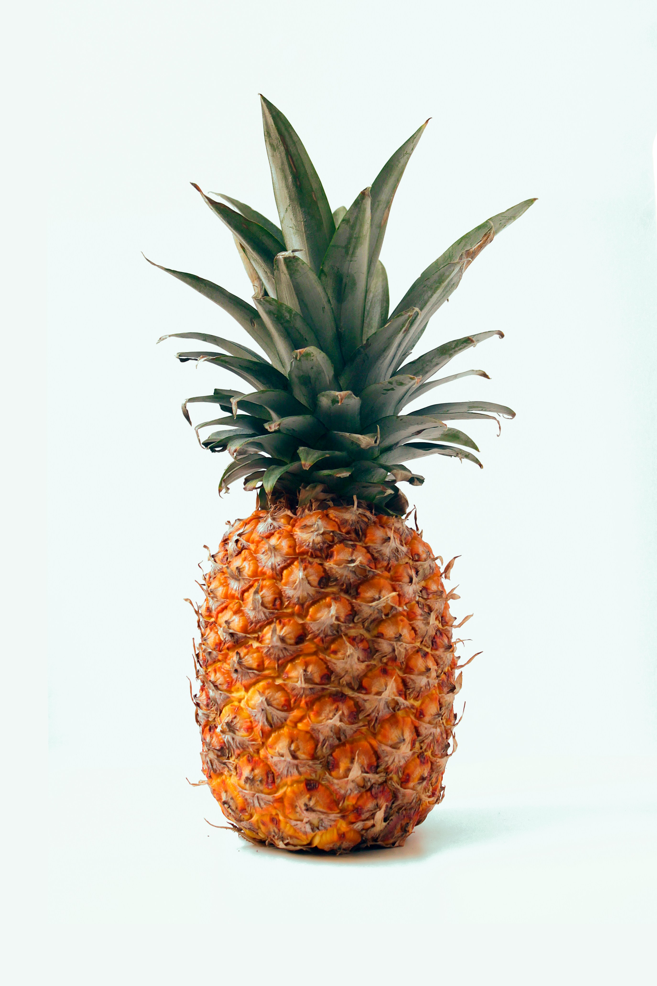 fruit1